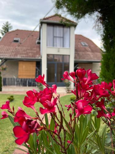 Marika Apartman 8622 Szántód, Rege u. 28. kép - 3