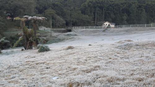 a field with a tree and a bridge in the background at CASA DO BRAZ aptos e casa de temporada in Monte Verde