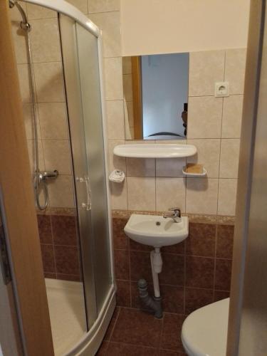 a small bathroom with a sink and a shower at Trevena Kretinga in Kretinga