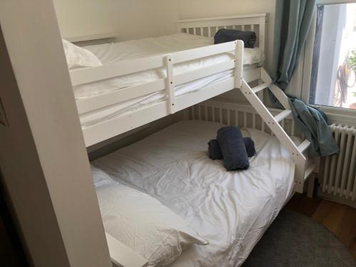 Poets Rest, free parking, EV socket fees apply walk to beach photo 19