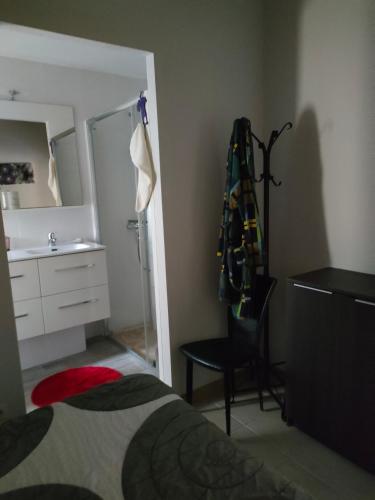 une chambre avec un lit, un lavabo et un miroir dans l'établissement CHEZ TINOU appartement T2 saisonnier, à Florensac