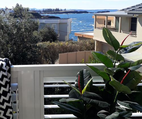 un balcón con una valla blanca y una planta en Shutters-Waterfront-Private-at Little Blowhole, en Kiama