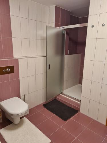 a bathroom with a toilet and a shower and a toilet at Apartman 508 Residence in Donovaly