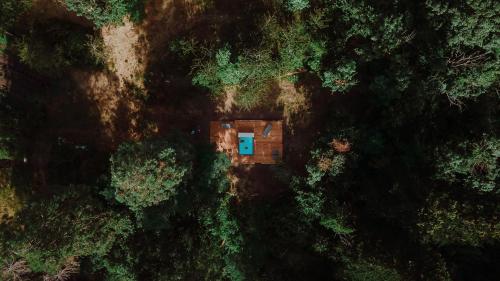 an overhead view of a cabin in the middle of a forest at Vallicciola Nature Hotel in Tempio Pausania