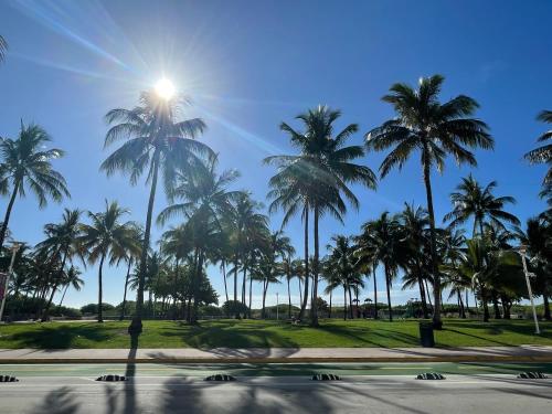 a group of palm trees in a park at Beachfront Apt in Carlyle Hotel on Ocean Drive in Miami Beach