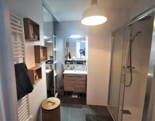 La salle de bains est pourvue d'une douche et d'un lavabo. dans l'établissement Appart 2 chambres climatisé piscine parkings, à Hyères