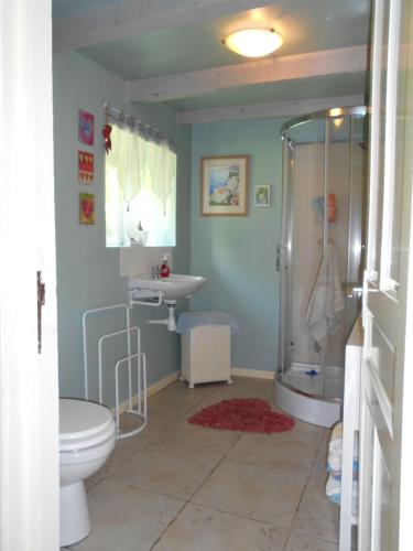 une salle de bain avec une douche, des toilettes et un lavabo dans l'établissement Les Landes, à Saint-Pardoux-Corbier