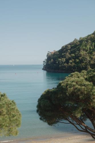 a view of a beach with a tree in the foreground at Eight Hotel Paraggi in Santa Margherita Ligure
