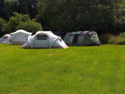 Galería fotográfica de St Mullins Natural Camping en Saint Mullins