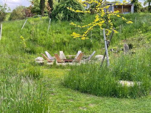 a group of chairs and a table in the grass at Living in Frames in Neusiedl bei Güssing