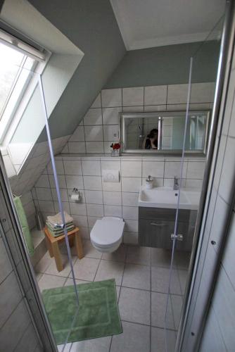 a bathroom with a toilet and a sink and a mirror at Ferienwohnung an Schleusenanlage NOK in Brunsbüttel