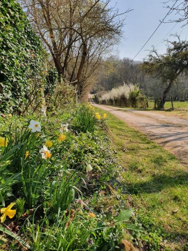 a field of flowers next to a dirt road at Ferme équestre & Chambres d'hôtes Gateau Stables proche Guédelon in Saint-Amand-en-Puisaye