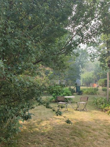 Deux chaises et une table dans un champ dans l'établissement Chalet dans la Foret....Adorable 1 bedroom chalet surrounded by woodland, à Pressignac