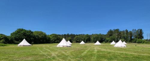 a group of white tents in a field at Dorset Glamping Fields in Corfe Mullen