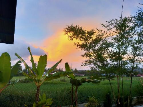 a view of a field with a rainbow in the sky at Langkawi Country Lodge2 in Pantai Cenang