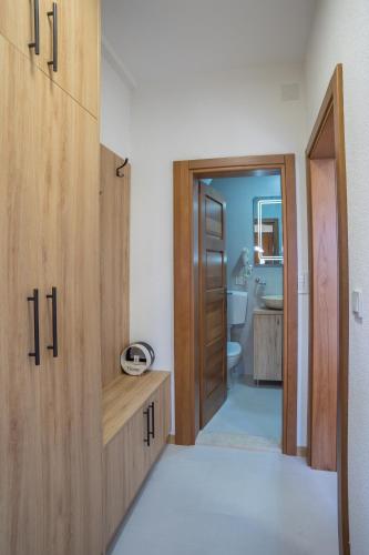 a bathroom with a wooden cabinet and a toilet at Monte Pino Lux Apartments in Žabljak