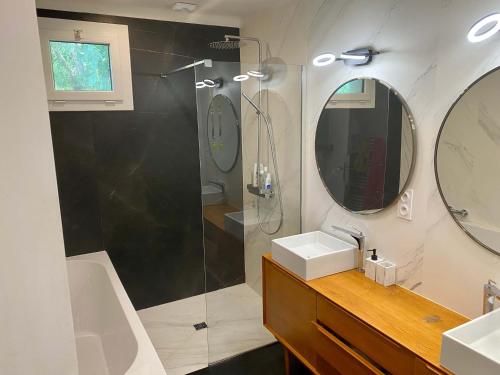 een badkamer met een douche, een wastafel en een spiegel bij La villa Garonne avec piscine in Toulouse