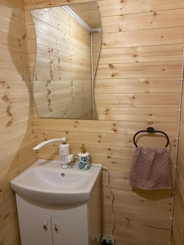 Vannituba majutusasutuses Hiiumaa Cottage Getaway plus Sauna and new indoor bathroom