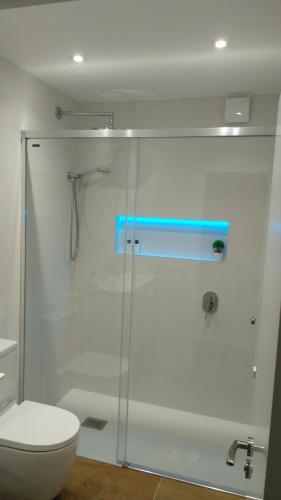 un bagno con doccia in vetro e WC di Oviedo Centro a Oviedo