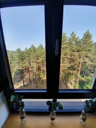 Paisaje cerca de este apartamento