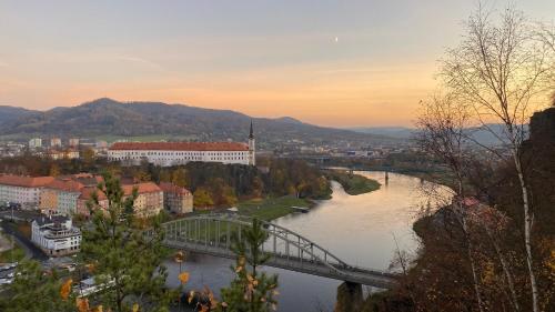 a view of a river with a bridge and a city at Berta's Apartments in Děčín