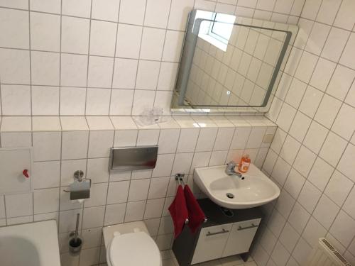 ein Badezimmer mit Waschbecken, Toilette und Spiegel in der Unterkunft City-Appartement 12.2. in Zwickau