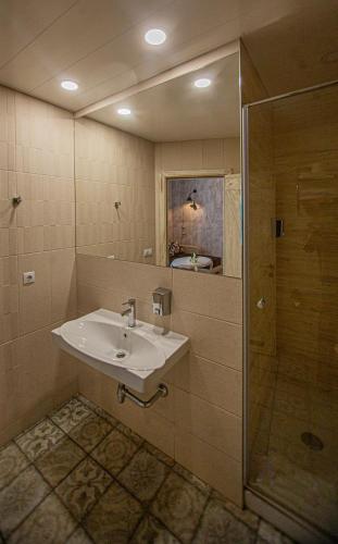 a bathroom with a sink and a shower at Biplan Hotel in Daugavpils