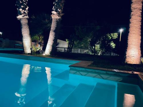 einen Swimmingpool mit Palmen in der Nacht in der Unterkunft Manca Residence in Marina di Palma