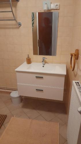 a bathroom with a white sink and a mirror at Chez Thomas in Sézanne