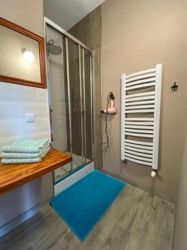 クリニツァ・ズドルイにあるDom z widokiemのバスルーム(青い敷物のシャワー付)