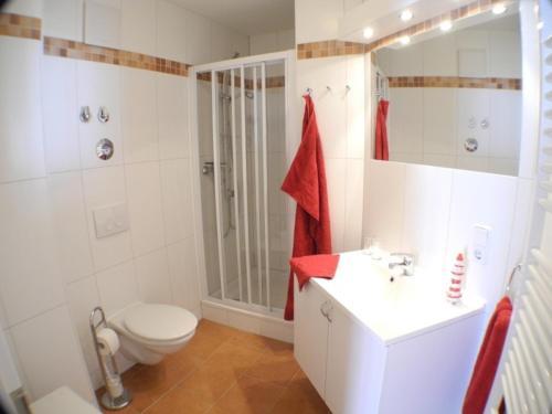 a bathroom with a toilet and a sink and a shower at Möwennest 11 - Großenbrode in Großenbrode