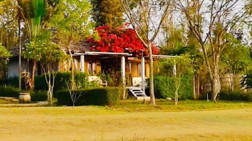 Zahrada ubytování Vimarnkiri Resort
