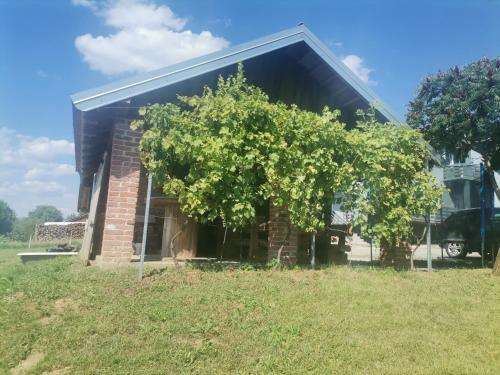 Κήπος έξω από το Apartman ŠIPA