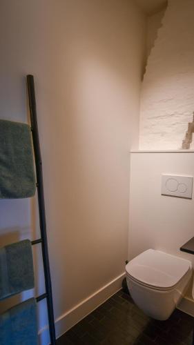 a bathroom with a toilet and a ladder at Boekelbaan 161 in Zwalm