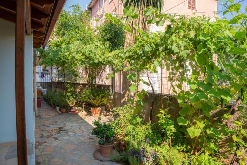 En have udenfor Annas Apartment