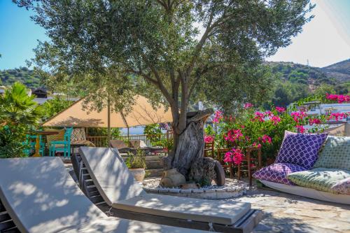 a patio with a tree and a couch and flowers at The Aegean Gate Hotel in Bodrum City