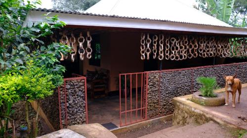 a dog standing in front of a house with a gate at Materuni Homes in Moshi