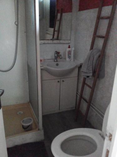 une petite salle de bain avec toilettes et lavabo dans l'établissement LA CABANE, à Bellac