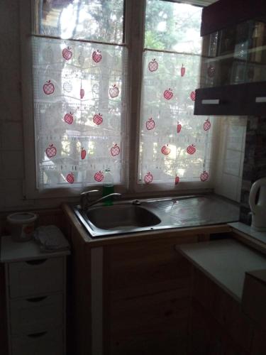 una cocina con fregadero y una ventana con cerezas en LA CABANE, en Bellac