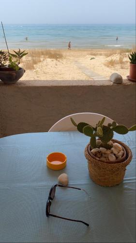 a table with a cactus in a basket and glasses at Baràka - Bungalow sulla spiaggia in Donnalucata