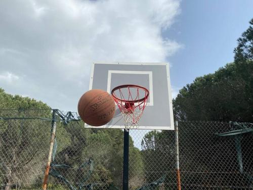 a basketball hoop with a ball in the net at Blue Garden Villa, Gjiri i Lalezit in Durrës