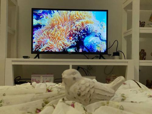 a tv sitting on a stand in a room with a bed at Blue Garden Villa, Gjiri i Lalezit in Durrës