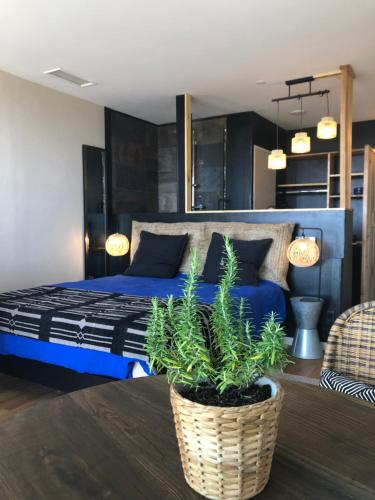 a bedroom with a blue bed and a potted plant at Panorama Suite romantique & Spa in Carcassonne