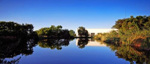 a river with trees reflecting in the water at Indaba Hotel, Spa & Conference Center in Johannesburg