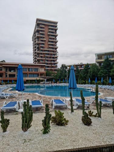 a swimming pool with blue umbrellas and chaises and cactuses at Dreamland Oasis Chakvi in Chakvi