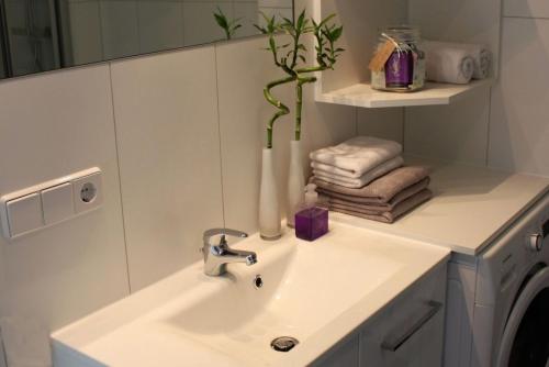 ein Waschbecken mit einem Spiegel und einer Pflanze darauf in der Unterkunft Sonnendeck 28 - a69863 in Großenbrode