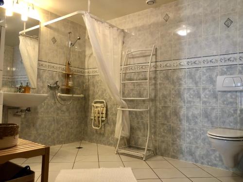 a bathroom with a shower with a sink and a toilet at Gîte 11 pers - Cadre magnifique in Morbier