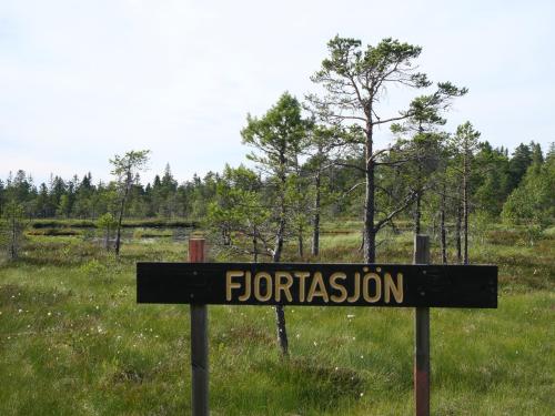 a sign for fliction in front of a field at Rämsbyns Fritidsby in Rämshyttan