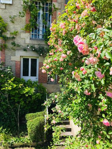 a bush with pink roses in front of a building at La Maison des Roses in Moulins