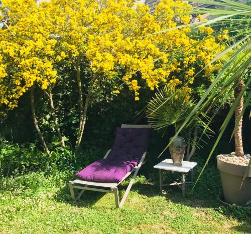 a purple chair in a garden with a plant at La Maison des Roses in Moulins
